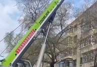 视频展示